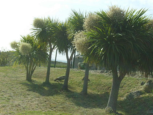 IMGP0094.JPG
