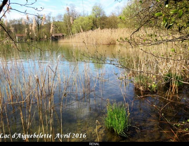 La montagne, février et avril 2016 : Isère