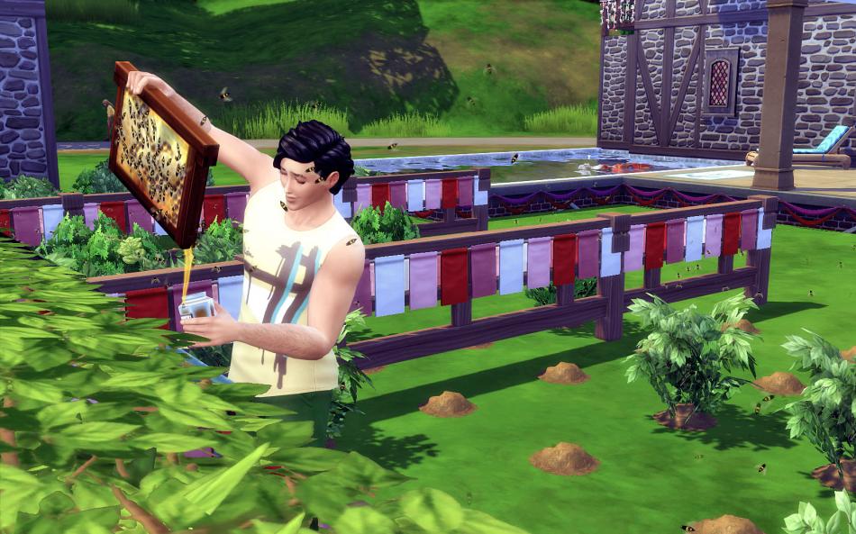 [CALF] Eté 3 - Semaine 13 - Jours 87 à 91