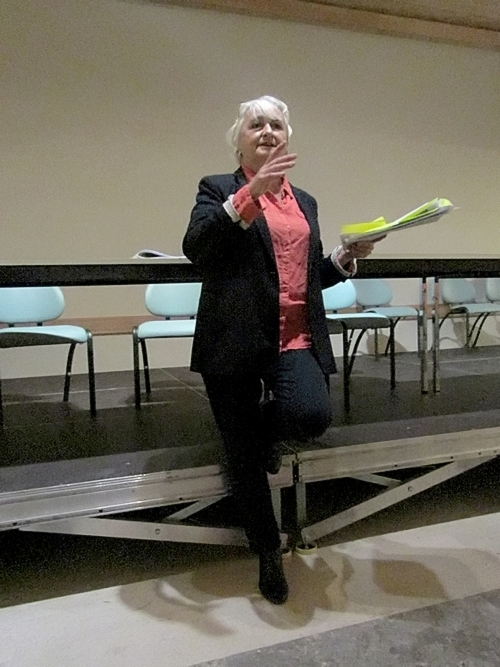 Des "Assises de la Santé" ont été initiées par Yolaine de Courson, Députée de la circonscription de Haute Côte d'Or