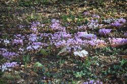 La randonnée du 10 octobre à Ver-sur-mer