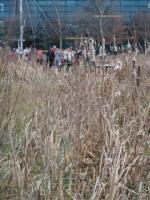 La randonnée du 8 janvier à Hérouville-Saint-Clair