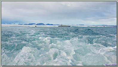 Départ pour une balade en Zodiac à Bethune Inlet - Philpots Island - Nunavut - Canada