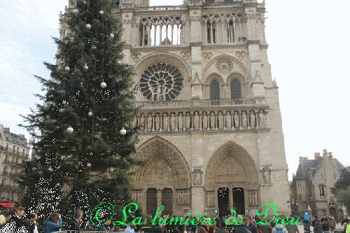 La cathédrale Notre-Dame de Paris