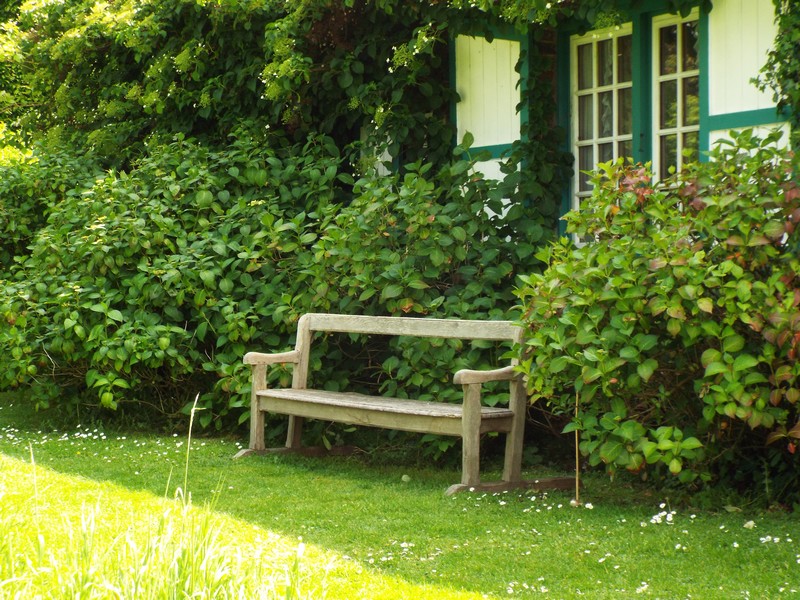 Jardin en Flandres ...