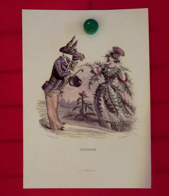 Une superbe exposition de livres de contes a eu lieu à la médiathèque Victorine de Chastenay