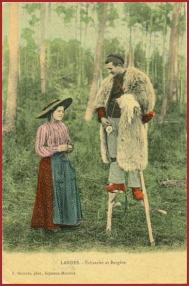 ⊱♥⊱╮ღ꧁  40 LES LANDES ꧂ღ ⊱♥≺  