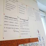 Le Texte libre 