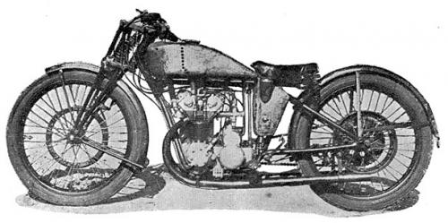 Les poissons jumeaux du "Renard argenté"