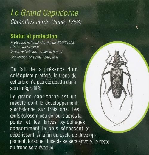 Au Parc Rochegude Albi