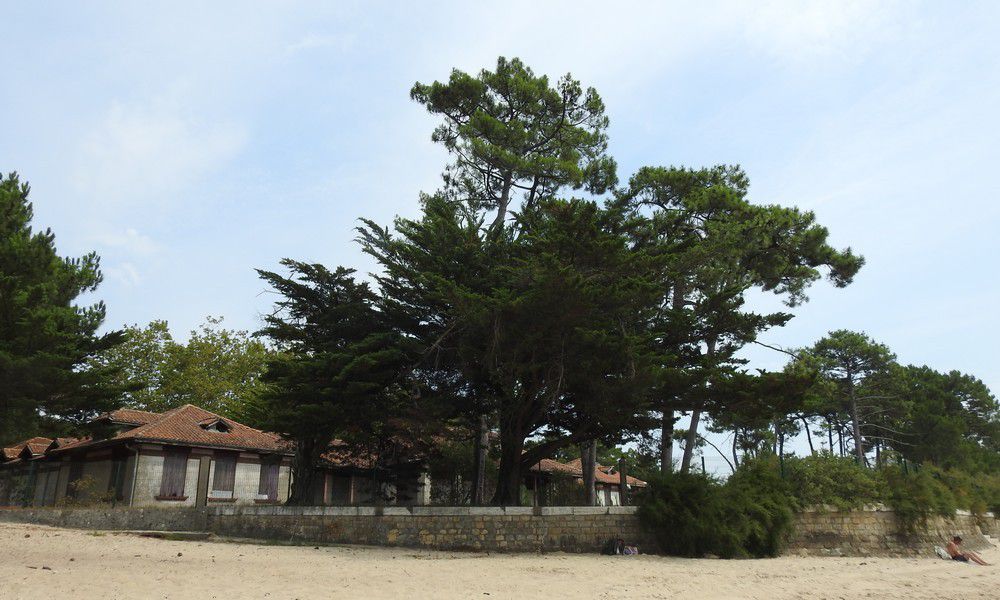 L'Aérium d'Arès, aujourd'hui...