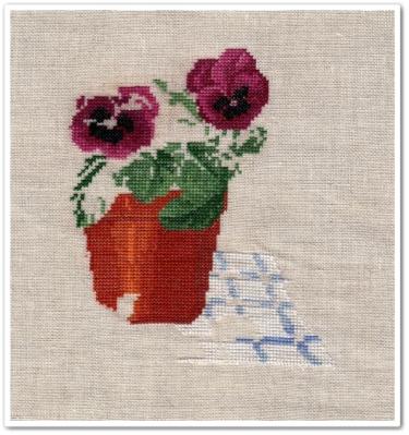 Pansy Pot 4