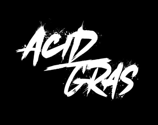 Acid Gras - Un premier album punk garage dix titres