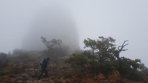Roque Forcade - 2