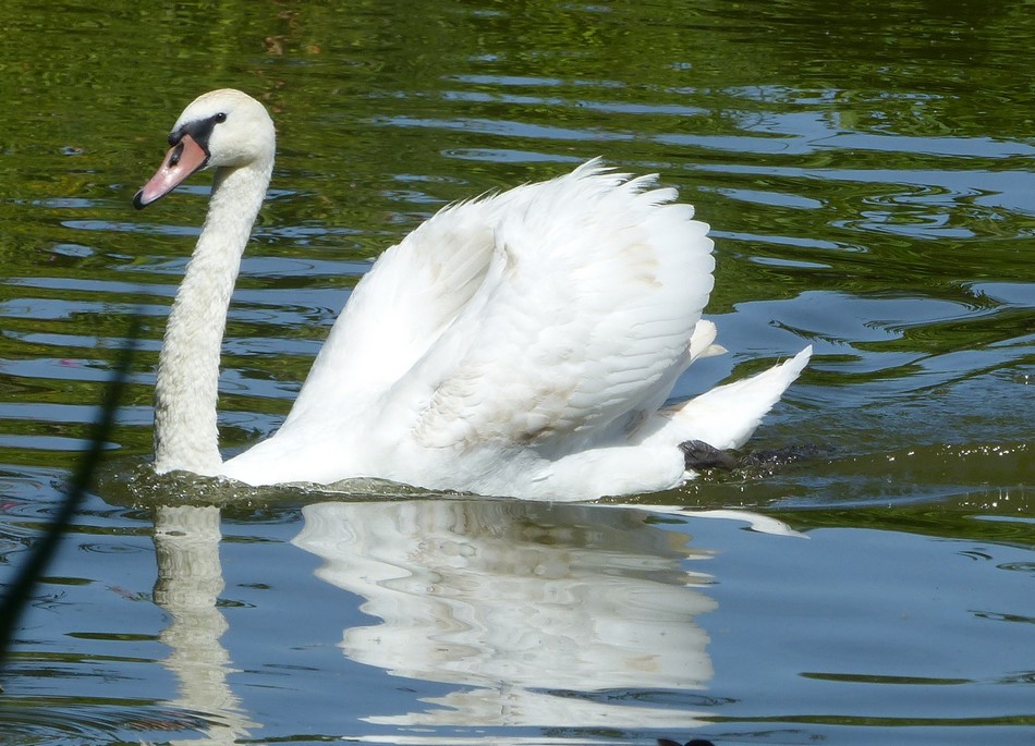 Mes rencontres du jour