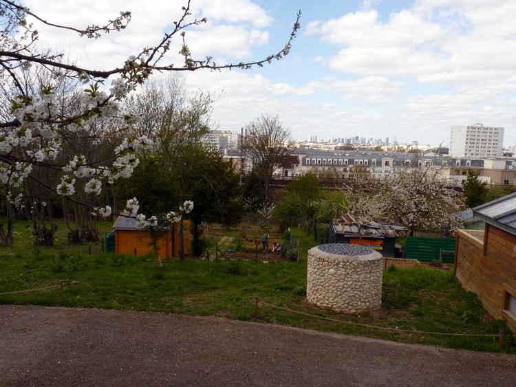 Jardin botanique