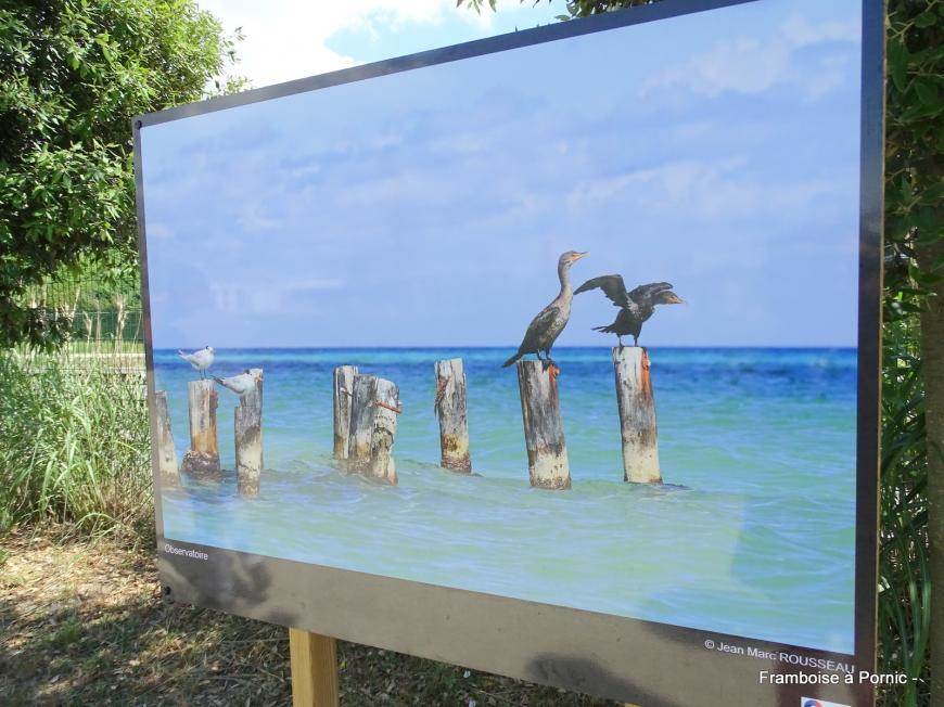 Expo photos Outdoor ria de Pornic - 2019