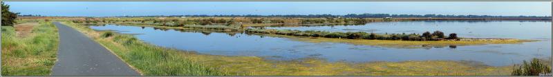 Balade à vélo vers les Portes-en-Ré : panorama sur des marais - Île de Ré - 17