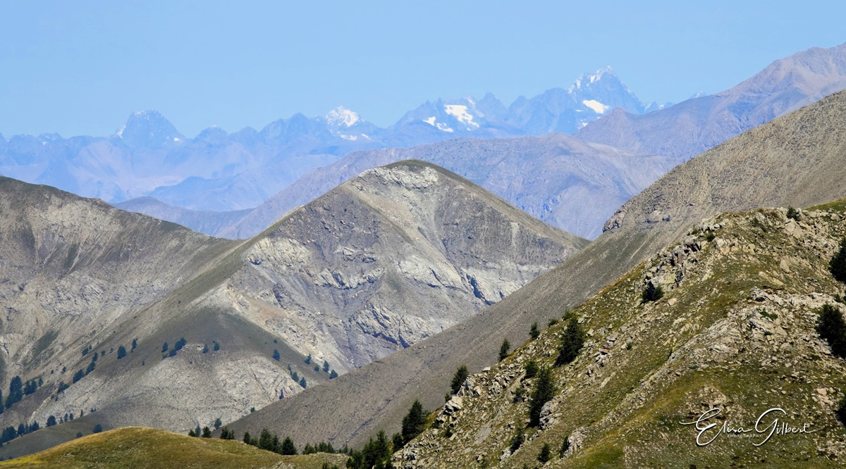 L'Encombrette
