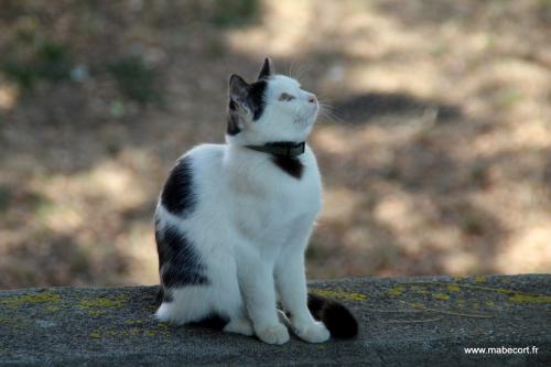 Lundi 21 au Dimanche 27.09 + Bonus