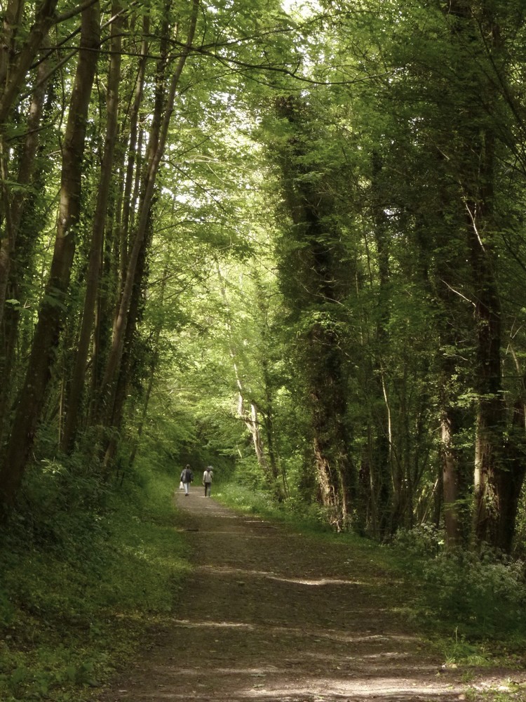 Sentier