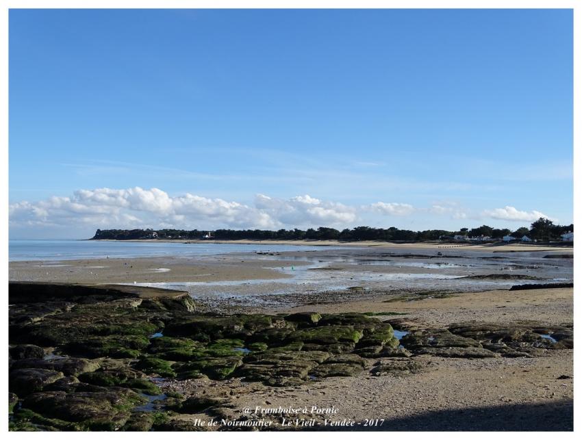 Ile de Noirmoutier - le Vieil - Vendée - 