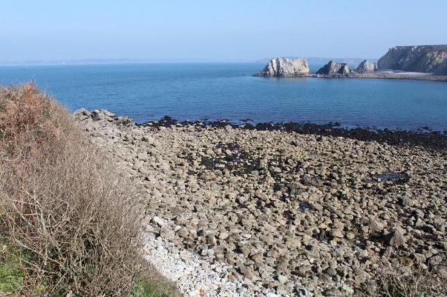 POINTE DE TOULINGUET (17)