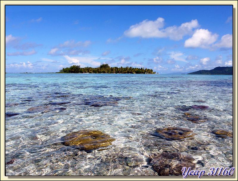 Vue sur le motu Tuuvahiné depuis le lagon - Tahaa - Polynésie française