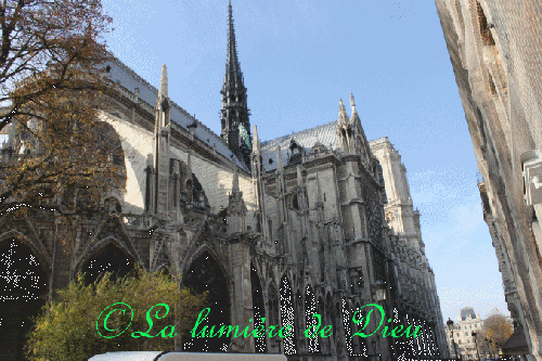 La cathédrale Notre-Dame de Paris