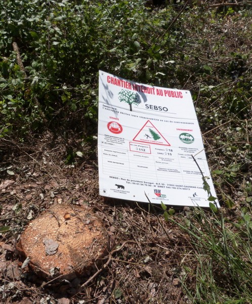 entreprise criminelle