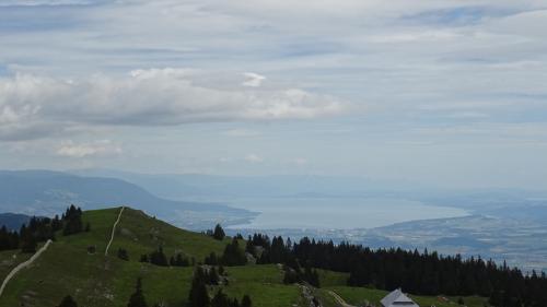 "Le Mont-Tendre sous un autre angle" - Dimanche 16 juin 2024