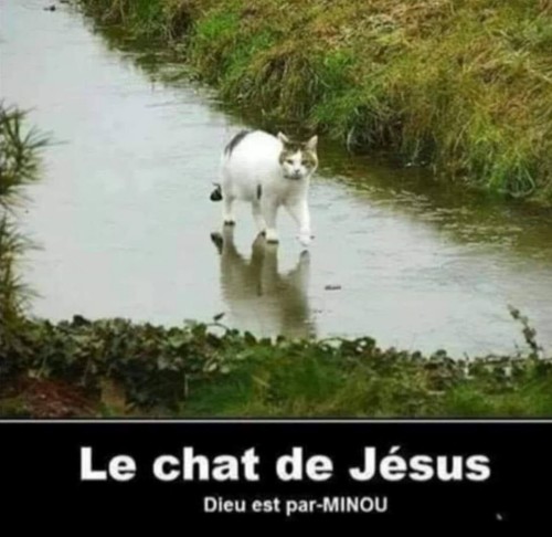 Encore un peu de tout et rien