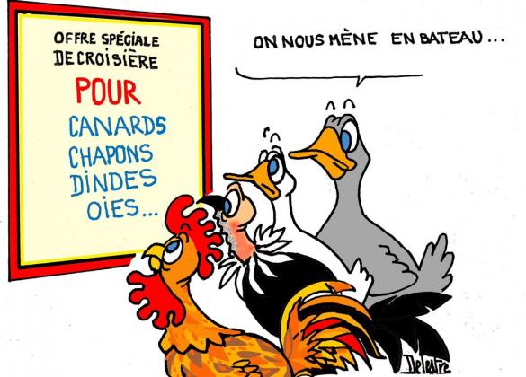 les oies n'en mènent pas large ce soir....