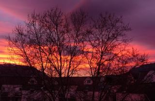 Un petit coucou du " Presque printemps " !!!