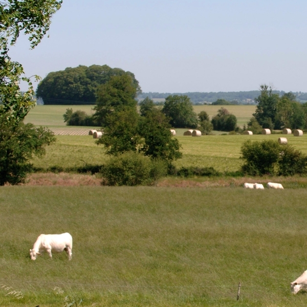 Département des Deux Sèvres