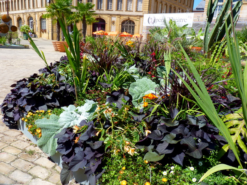 Le Jardin Ephémère 2020 metz
