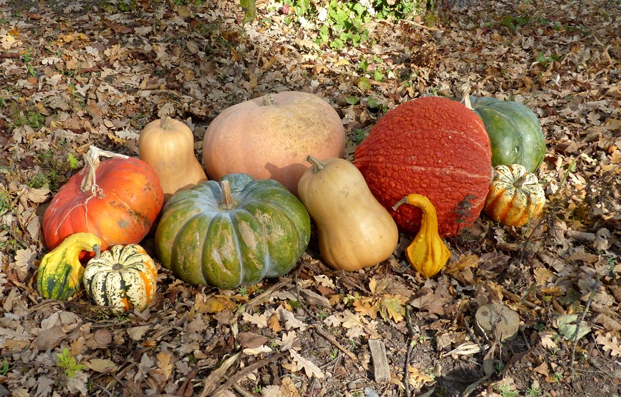 HAAAAAAA ... lloween ! 