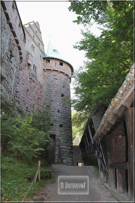 Alsace Haut-Koenigsbourg lices nord Petit Lexique