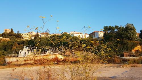 La patience du naufragé