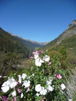 Méli mélo d'Automne 