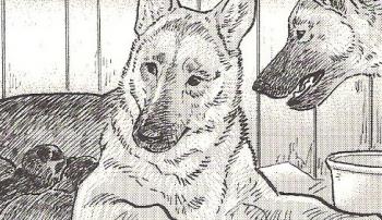scan 420