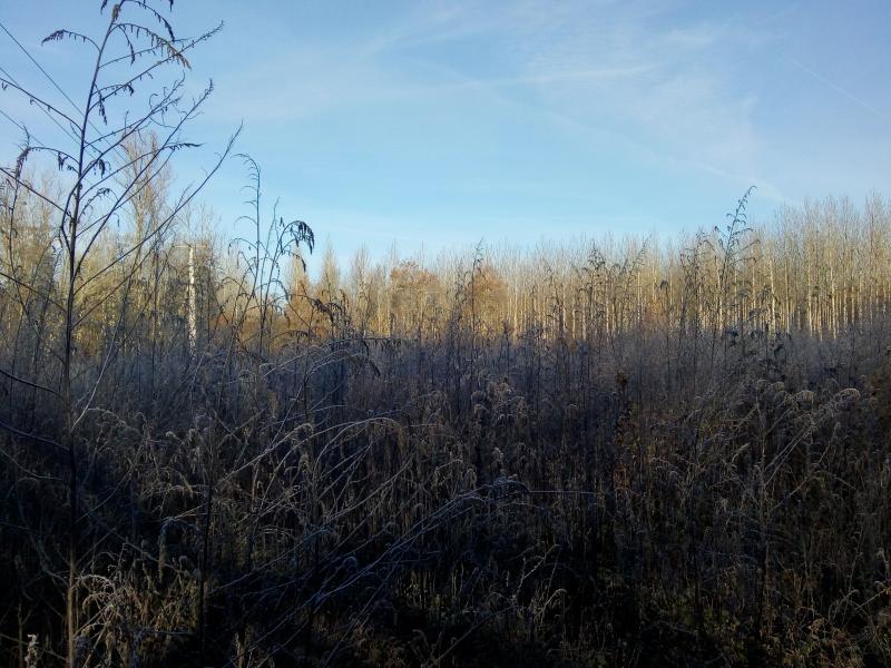 ce matin balade en ce samedi