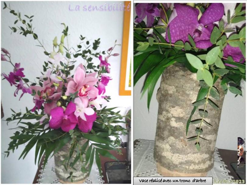 La sensibilité (florale) avec de belles orchidées