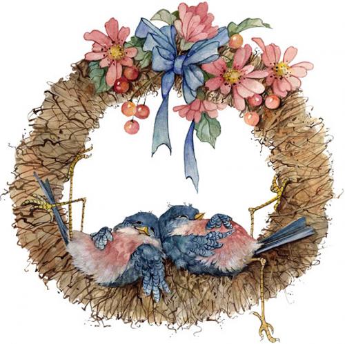 Oiseaux fous-fous !(2)