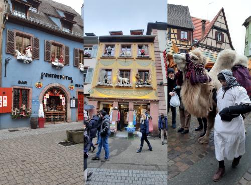 Marchés de Noël en Alsace /Ribeauvillé le 10/12/22