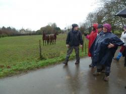 La randonnée du 15 janvier à Eterville