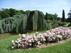 Un dimanche au parc  ... 
