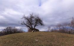Un petit bonsoir d'un mercredi soir