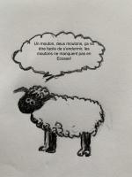 dessine- moi un mouton!