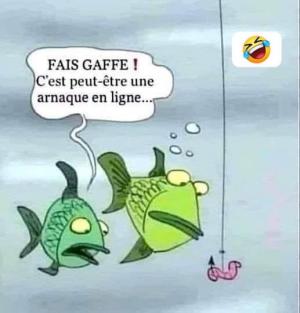 ღ꧁ღ╭⊱ꕥ Avec Humour ! ꕥ⊱╮ღ꧂ღ